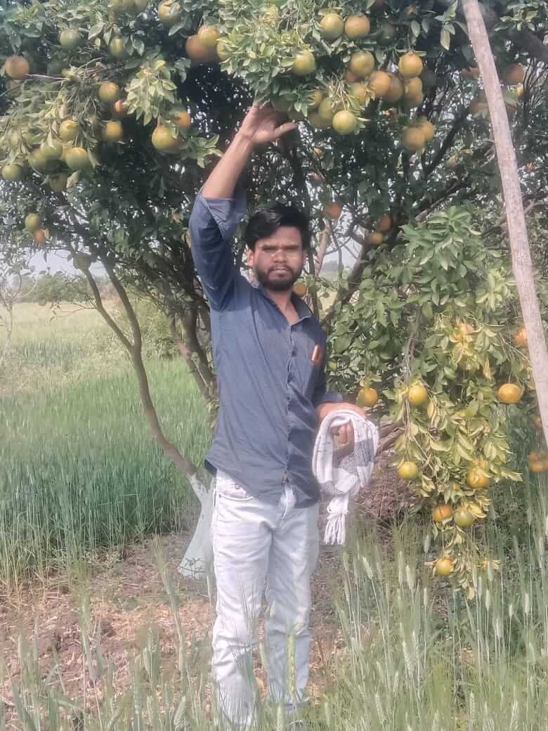 Man standing under an orange tree in a farm garden holding fresh oranges