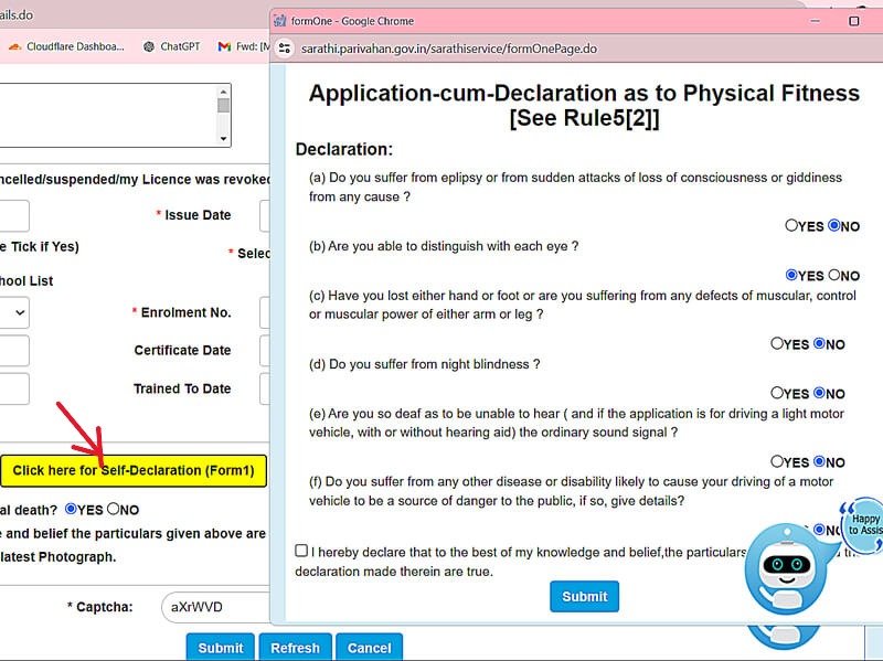 Learner Licence self declaration form 1 physical fitness yes no selection screenshot